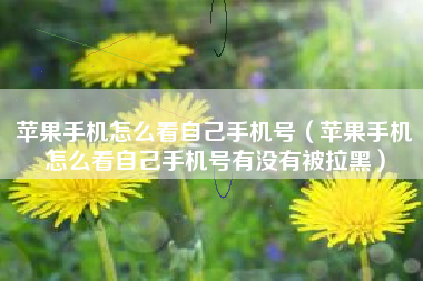 苹果手机怎么看自己手机号（苹果手机怎么看自己手机号有没有被拉黑）