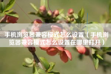 手机浏览器兼容模式怎么设置（手机浏览器兼容模式怎么设置在哪里打开）