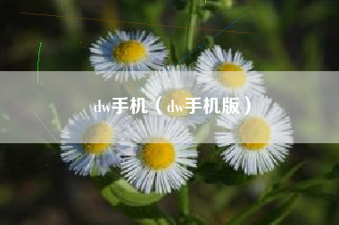 dw手机（dw手机版）