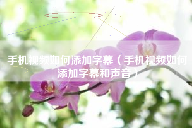 手机视频如何添加字幕（手机视频如何添加字幕和声音）