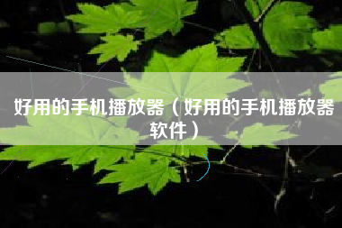 好用的手机播放器（好用的手机播放器软件）