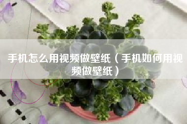 手机怎么用视频做壁纸（手机如何用视频做壁纸）