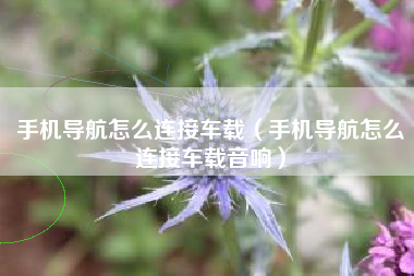 手机导航怎么连接车载（手机导航怎么连接车载音响）