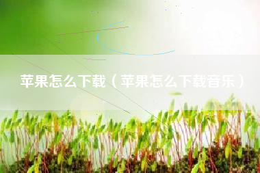 苹果怎么下载（苹果怎么下载音乐）