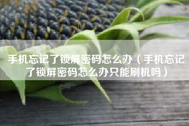 手机忘记了锁屏密码怎么办（手机忘记了锁屏密码怎么办只能刷机吗）