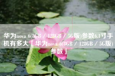 华为nova 6(8GB／128GB／5G版)参数6.1寸手机有多大「华为nova 6(8GB／128GB／5G版)参数」