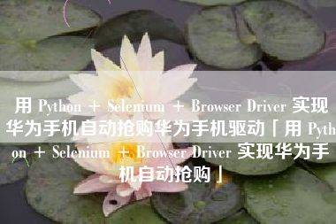 用 Python + Selenium + Browser Driver 实现华为手机自动抢购华为手机驱动「用 Python + Selenium + Browser Driver 实现华为手机自动抢购」