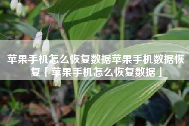 苹果手机怎么恢复数据苹果手机数据恢复「苹果手机怎么恢复数据」