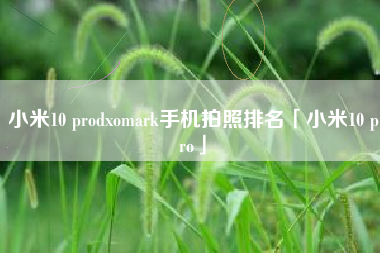 小米10 prodxomark手机拍照排名「小米10 pro」