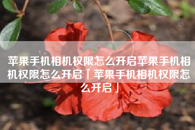 苹果手机相机权限怎么开启苹果手机相机权限怎么开启「苹果手机相机权限怎么开启」