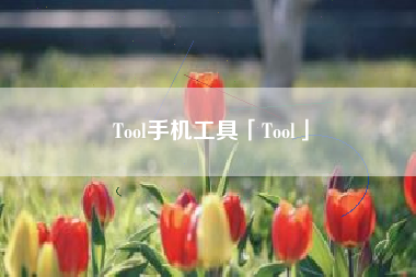 Tool手机工具「Tool」