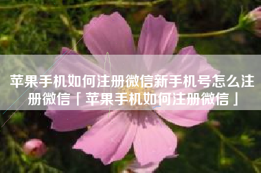 苹果手机如何注册微信新手机号怎么注册微信「苹果手机如何注册微信」