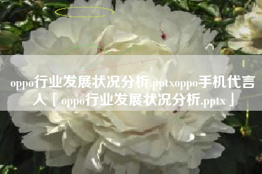 oppo行业发展状况分析.pptxoppo手机代言人「oppo行业发展状况分析.pptx」