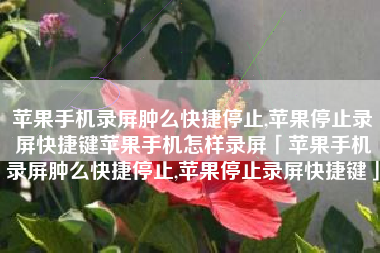 苹果手机录屏肿么快捷停止,苹果停止录屏快捷键苹果手机怎样录屏「苹果手机录屏肿么快捷停止,苹果停止录屏快捷键」