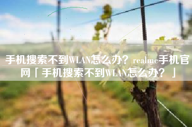 手机搜索不到WLAN怎么办？realme手机官网「手机搜索不到WLAN怎么办？」