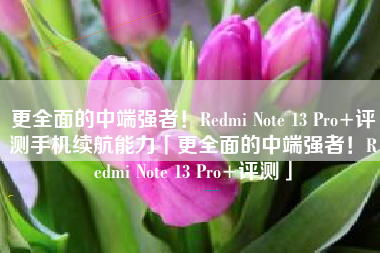 更全面的中端强者！Redmi Note 13 Pro+评测手机续航能力「更全面的中端强者！Redmi Note 13 Pro+评测」