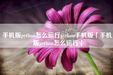 手机版python怎么运行python手机版「手机版python怎么运行」