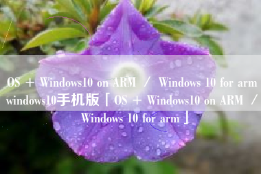 OS + Windows10 on ARM ／ Windows 10 for armwindows10手机版「OS + Windows10 on ARM ／ Windows 10 for arm」