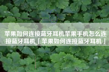 苹果如何连接蓝牙耳机苹果手机怎么连接蓝牙耳机「苹果如何连接蓝牙耳机」