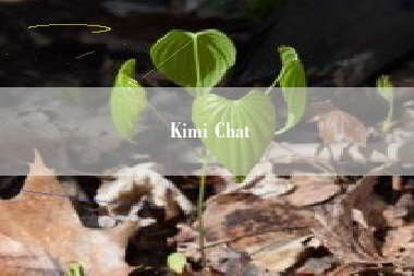 Kimi Chat