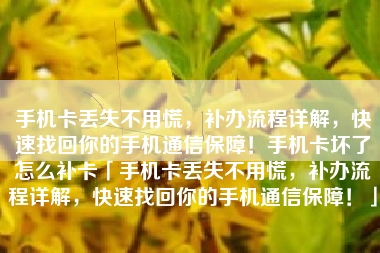 手机卡丢失不用慌，补办流程详解，快速找回你的手机通信保障！手机卡坏了怎么补卡「手机卡丢失不用慌，补办流程详解，快速找回你的手机通信保障！」