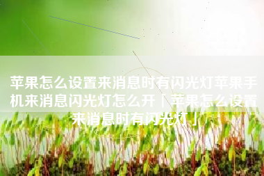 苹果怎么设置来消息时有闪光灯苹果手机来消息闪光灯怎么开「苹果怎么设置来消息时有闪光灯」