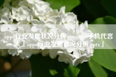 oppo行业发展状况分析.pptxoppo手机代言人「oppo行业发展状况分析.pptx」