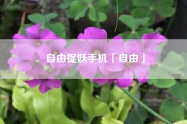 自由捉妖手机「自由」 自由捉妖手机「自由」