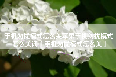 手机勿扰模式怎么关苹果手机勿扰模式怎么关闭「手机勿扰模式怎么关」