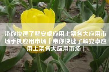 带你快速了解安卓应用上架各大应用市场手机应用市场「带你快速了解安卓应用上架各大应用市场」