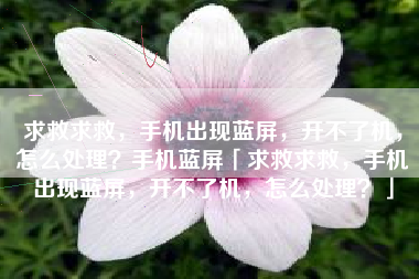 求救求救，手机出现蓝屏，开不了机，怎么处理？手机蓝屏「求救求救，手机出现蓝屏，开不了机，怎么处理？」