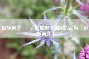 欧乐简介oppo手机是哪个国家的品牌「欧乐简介」