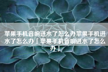 苹果手机音响进水了怎么办苹果手机进水了怎么办「苹果手机音响进水了怎么办」