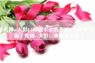 死神vs火影3.3神威卡卡西死神vs火影手机版「死神vs火影3.3神威卡卡西」