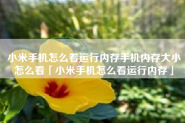 小米手机怎么看运行内存手机内存大小怎么看「小米手机怎么看运行内存」