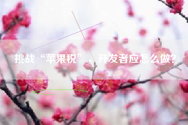 挑战“苹果税”，开发者应怎么做？
