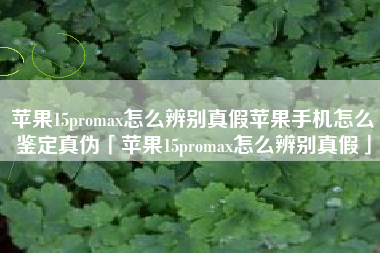 苹果15promax怎么辨别真假苹果手机怎么鉴定真伪「苹果15promax怎么辨别真假」