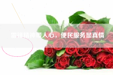 雷锋精神暖人心，便民服务显真情