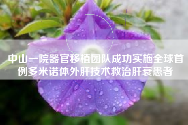 中山一院器官移植团队成功实施全球首例多米诺体外肝技术救治肝衰患者