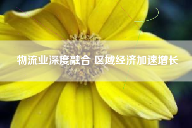 物流业深度融合 区域经济加速增长
