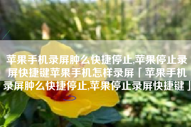 苹果手机录屏肿么快捷停止,苹果停止录屏快捷键苹果手机怎样录屏「苹果手机录屏肿么快捷停止,苹果停止录屏快捷键」 苹果手机录屏肿么快捷停止,苹果停止录屏快捷键苹果手机怎样录屏「苹果手机录屏肿么快捷停止,苹果停止录屏快捷键」
