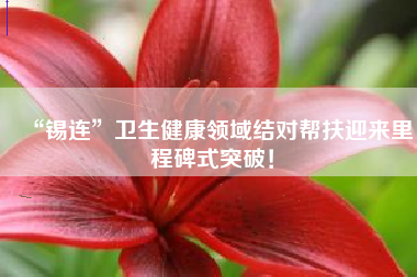 “锡连”卫生健康领域结对帮扶迎来里程碑式突破！