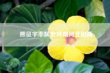 熊征宇率队赴河南河北招商