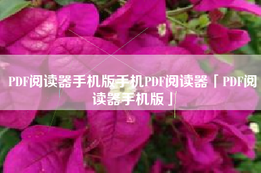 PDF阅读器手机版手机PDF阅读器「PDF阅读器手机版」