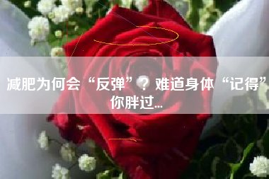 减肥为何会“反弹”？难道身体“记得”你胖过...