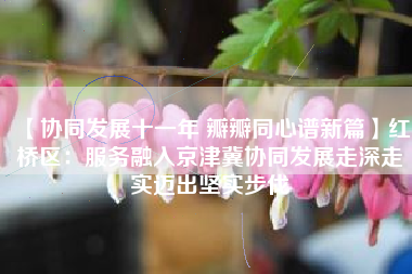 【协同发展十一年 瓣瓣同心谱新篇】红桥区：服务融入京津冀协同发展走深走实迈出坚实步伐