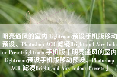 明亮通风的室内 Lightroom预设手机版移动预设、Photoshop ACR 滤镜Bright and Airy Indoor Presetslightroom手机版「明亮通风的室内 Lightroom预设手机版移动预设、Photoshop ACR 滤镜Bright and Airy Indoor Presets」