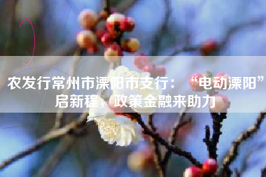 农发行常州市溧阳市支行：“电动溧阳”启新程，政策金融来助力