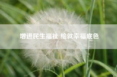 增进民生福祉 绘就幸福底色