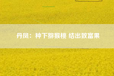 丹凤：种下猕猴桃 结出致富果